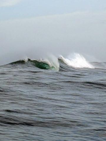 Surf Cannon Rock Robben Island