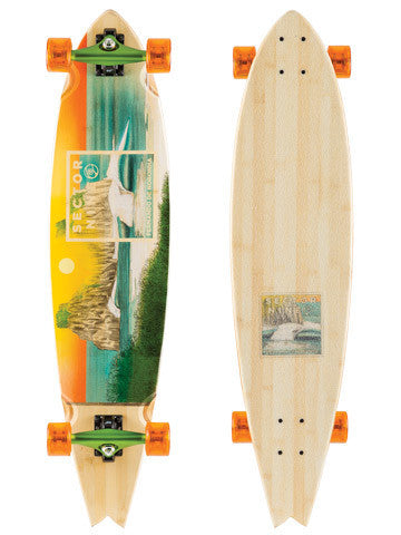 Sector 9 Fernando
