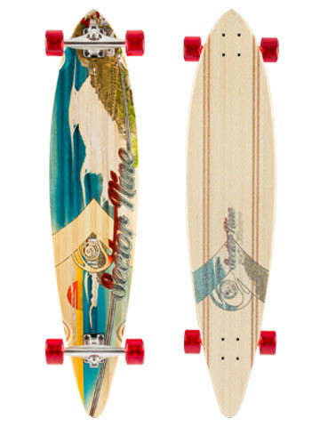 Sector 9 Madeira
